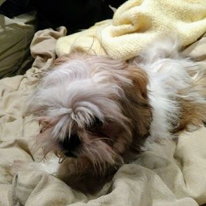 Meet your Posher, Vivian